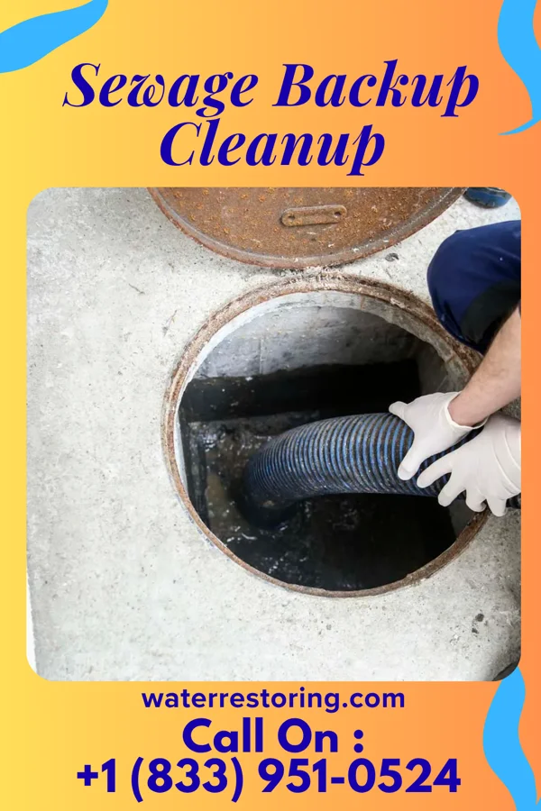 Sewage Backup Cleanup in New Hyde Park, NY