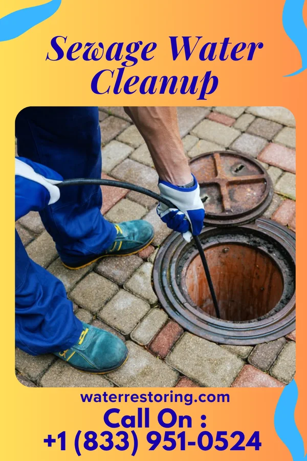 Sewage Water Cleanup in New Hyde Park, NY